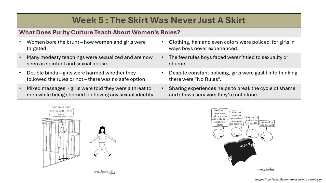 The Skirt Was Never Just A Skirt table screenshot